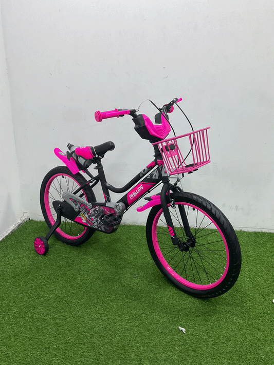 BICICLETA RIN 20 -NX62