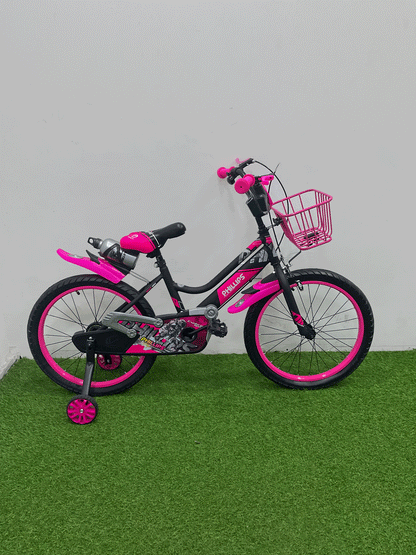 BICICLETA RIN 20 -NX62