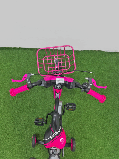 BICICLETA RIN 12-NX60