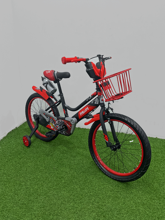 BICICLETA RIN 20-NX62