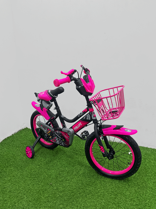 BICICLETA RIN 16 - NX61