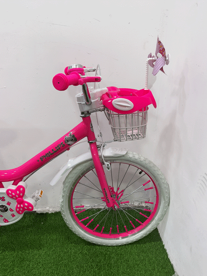 BICICLETA RIN 20- HX22