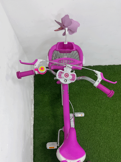 BICICLETA RIN 20- HX22