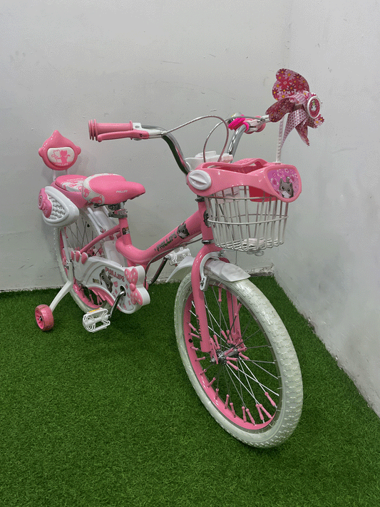 BICICLETA RIN 20- HX22