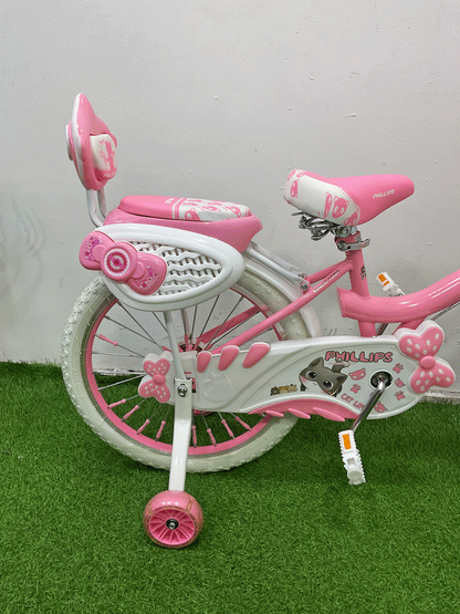 BICICLETA RIN 20- HX22