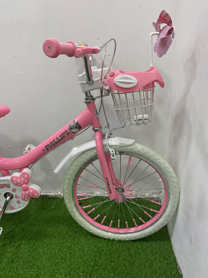 BICICLETA RIN 20- HX22