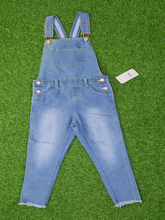 BRAGAS - YD45176G