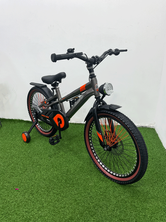 BICICLETA RIN 20- NX71
