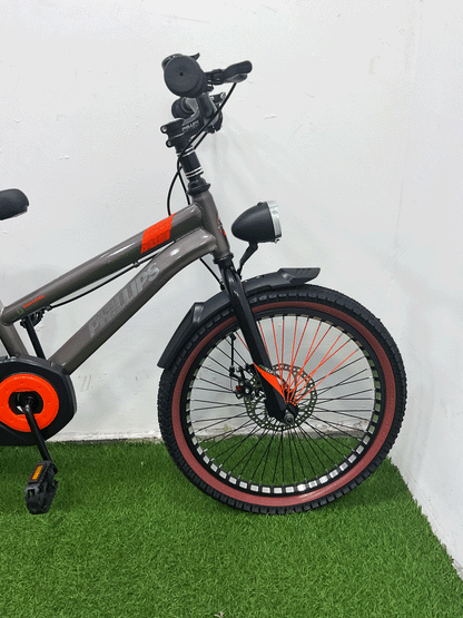 BICICLETA RIN 20- NX71