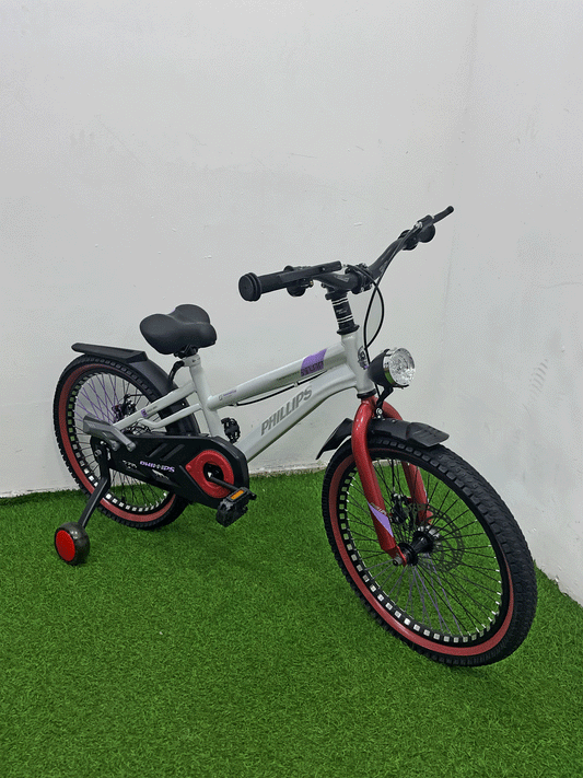 BICICLETA RIN 20- NX71