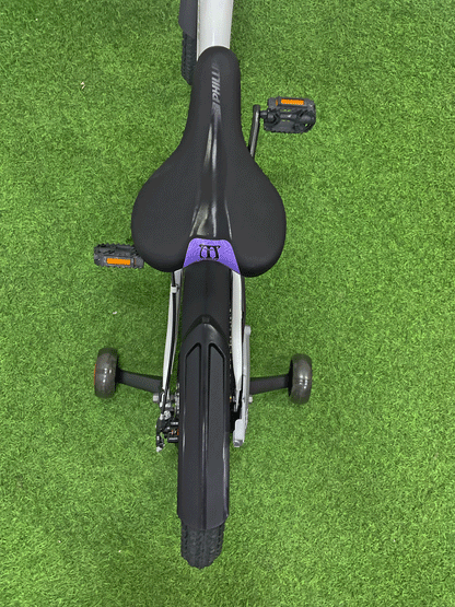 BICICLETA RIN 20- NX71