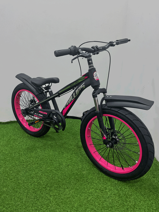 BICICLETA RIN 20- HX23