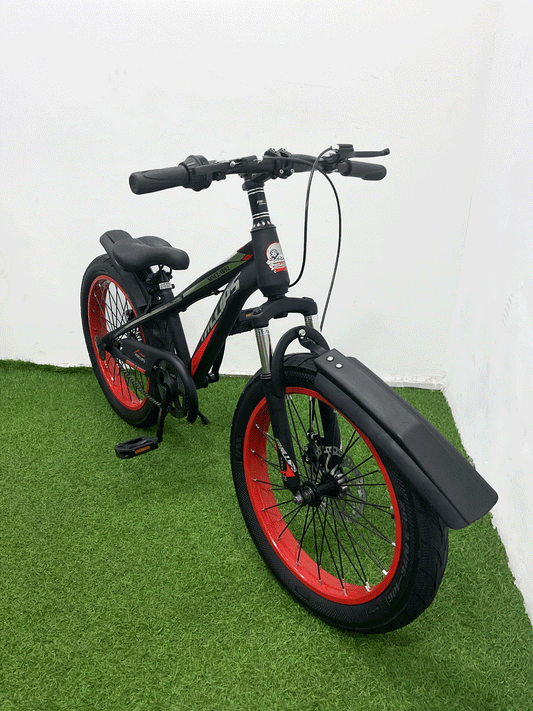 BICICLETA RIN 20 - HX23