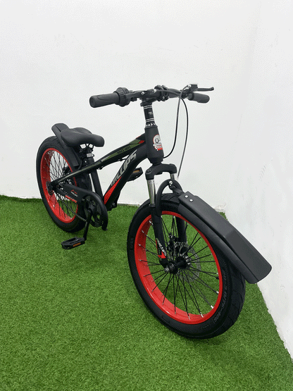 BICICLETA RIN 20 - HX23