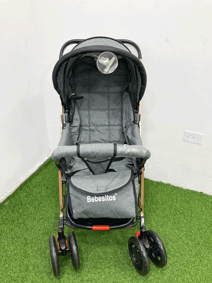 COCHE DOBLE VISTA - LNN2107G
