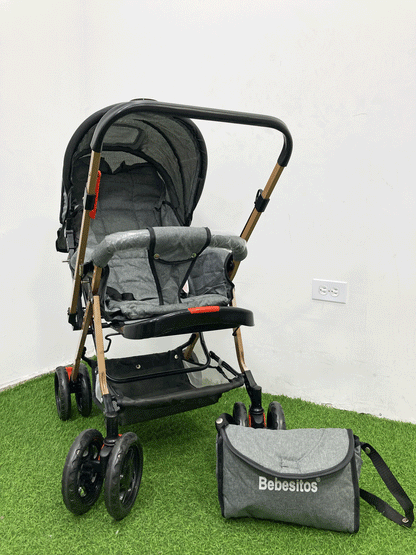 COCHE DOBLE VISTA - LNN2107G