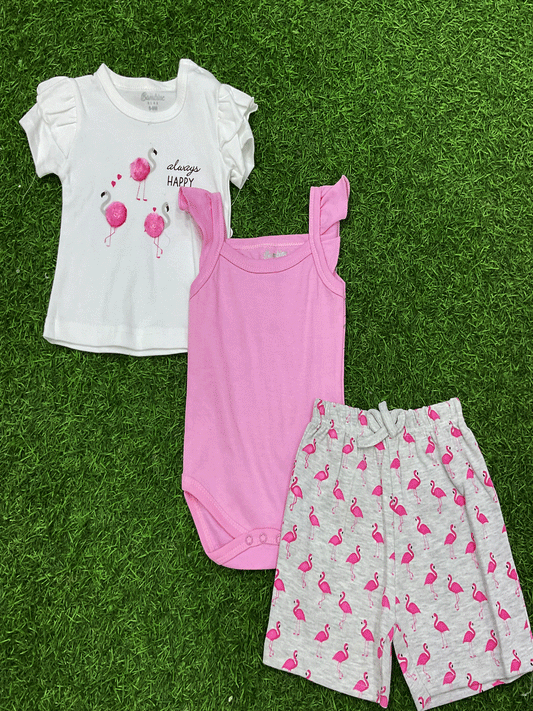 CONJUNTO - 251420068