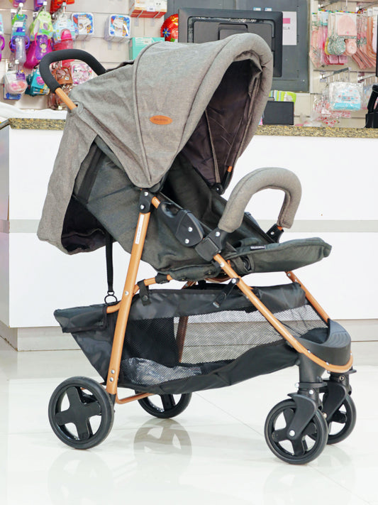 Coche - GSH101