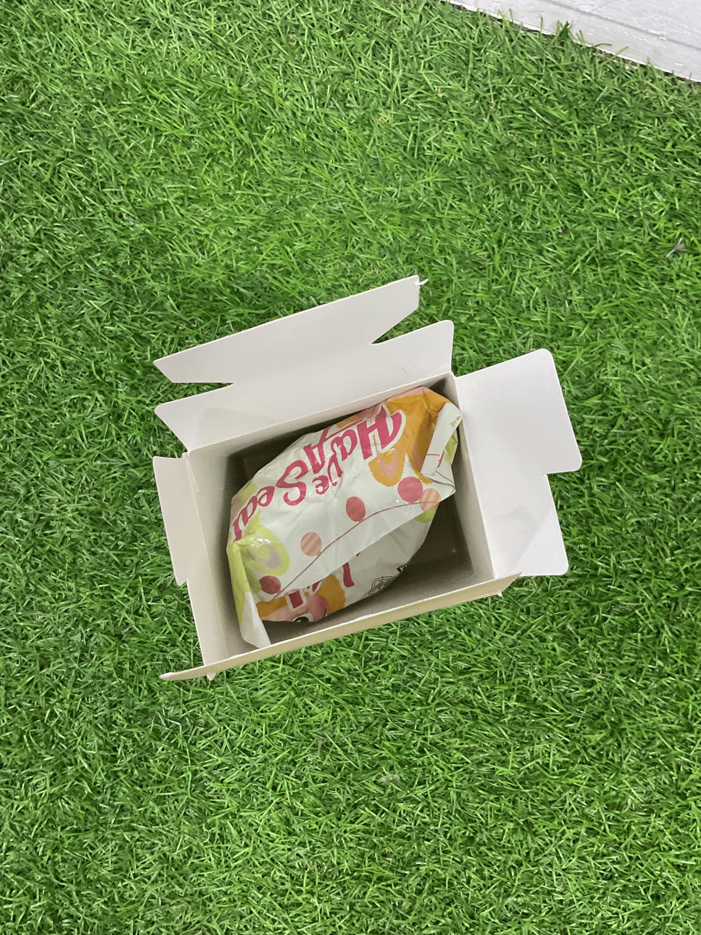 CAJA CIEGA LABUBU - 5090604022670