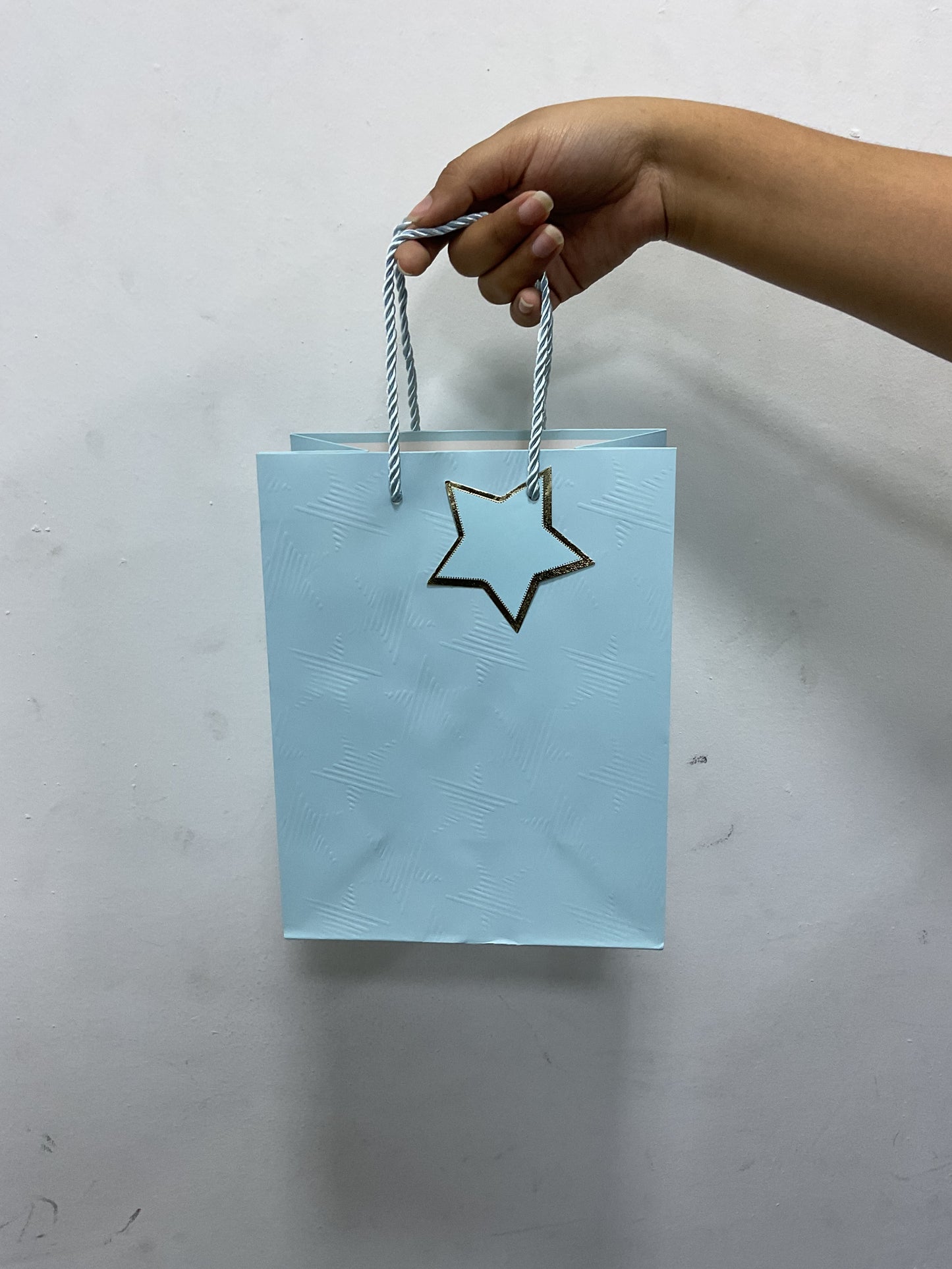 BOLSA DE REGALO - 82001351