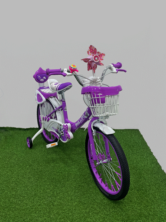 BICICLETA RIN 20 - HX19