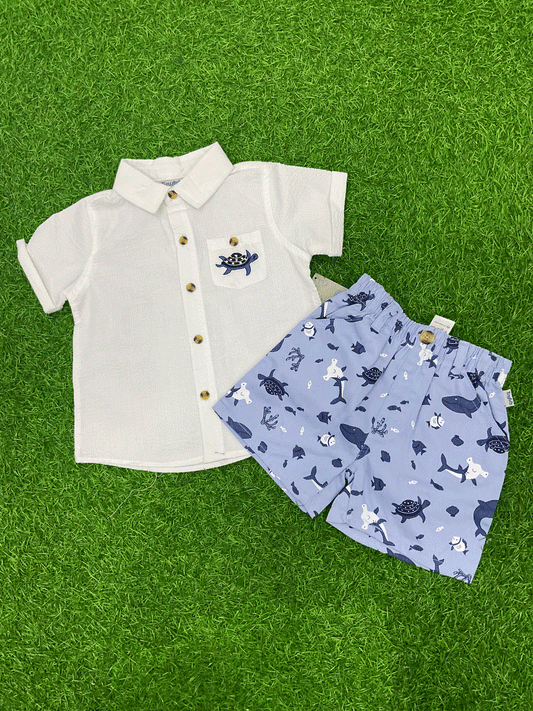 CONJUNTO - D74411TT