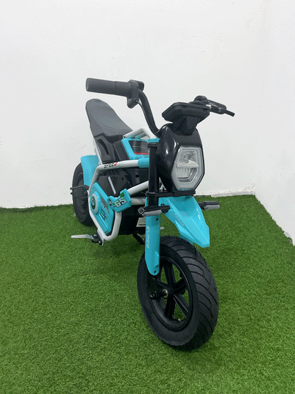 MOTO ELECTRICA - 8M011