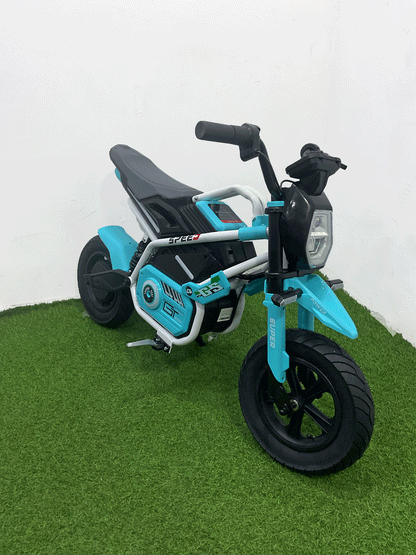 MOTO ELECTRICA - 8M011