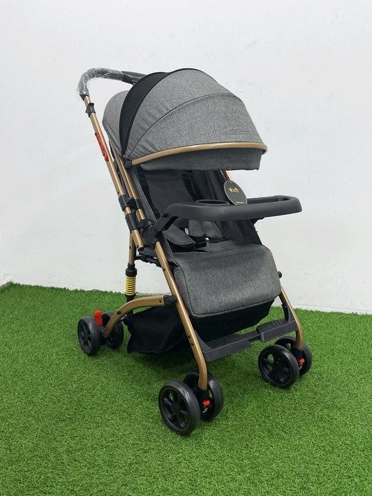 COCHE DOBLE VISTA  - 8892S8