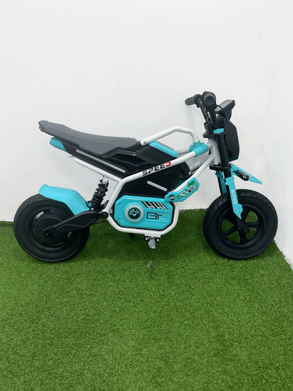 MOTO ELECTRICA - 8M011
