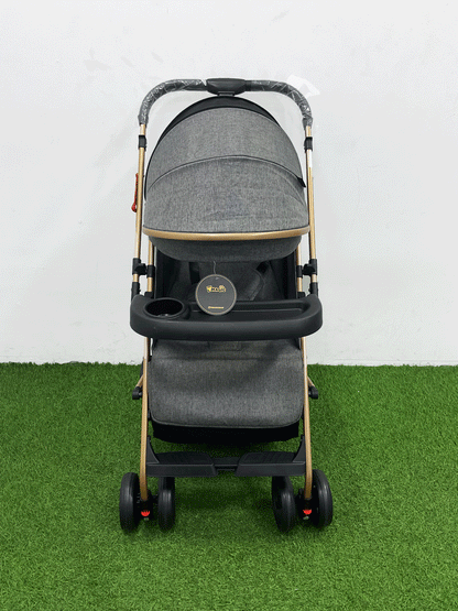 COCHE DOBLE VISTA  - 8892S8