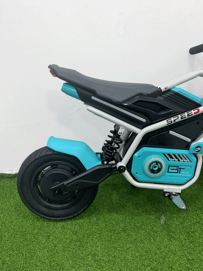 MOTO ELECTRICA - 8M011