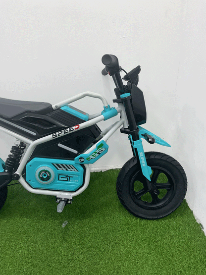 MOTO ELECTRICA - 8M011