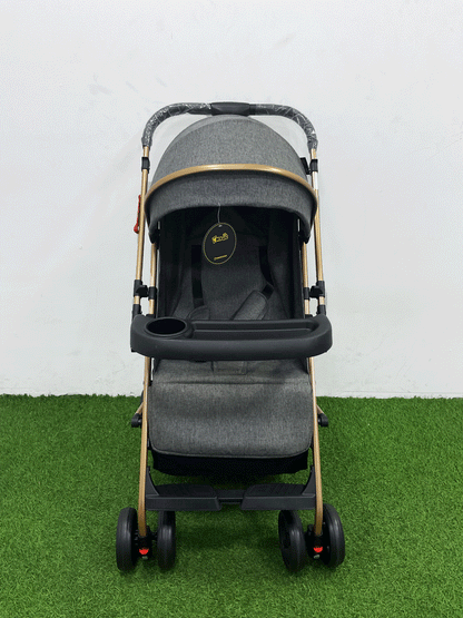 COCHE DOBLE VISTA  - 8892S8