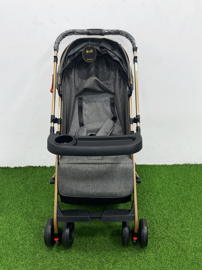 COCHE DOBLE VISTA  - 8892S8