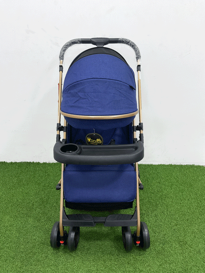 COCHE DOBLE VISTA  - 8892S8