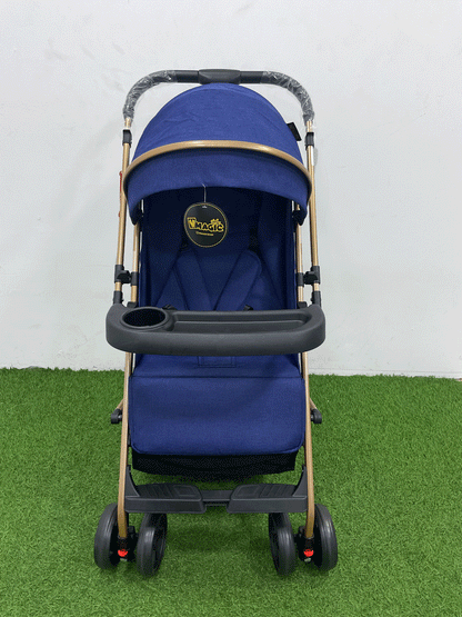 COCHE DOBLE VISTA  - 8892S8
