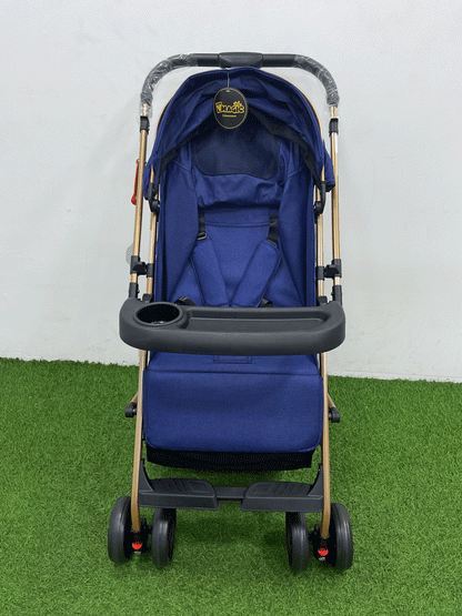 COCHE DOBLE VISTA  - 8892S8