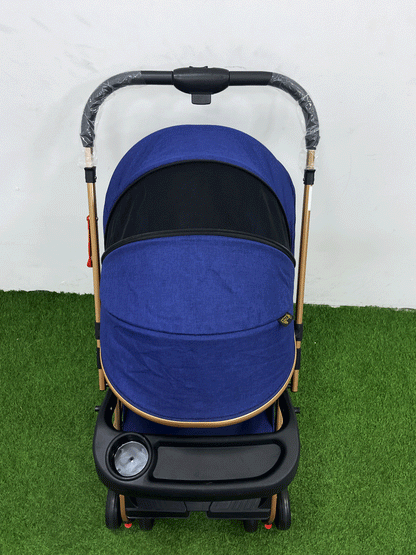 COCHE DOBLE VISTA  - 8892S8