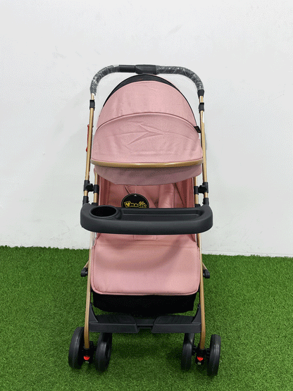 COCHE DOBLE VISTA  -8892S8