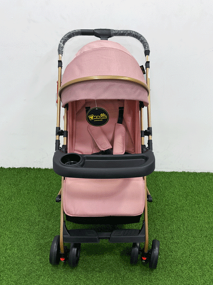 COCHE DOBLE VISTA  -8892S8