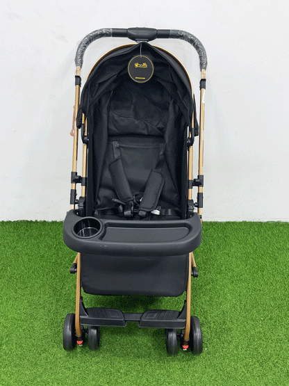 COCHE DOBLE VISTA  - 8892S8