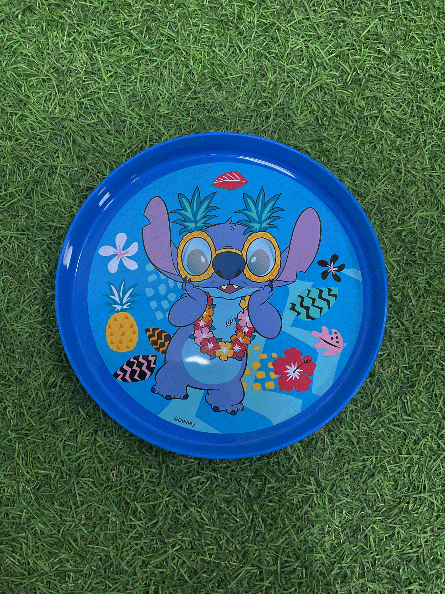 PLATO PLATICO - DHSTIP8949A