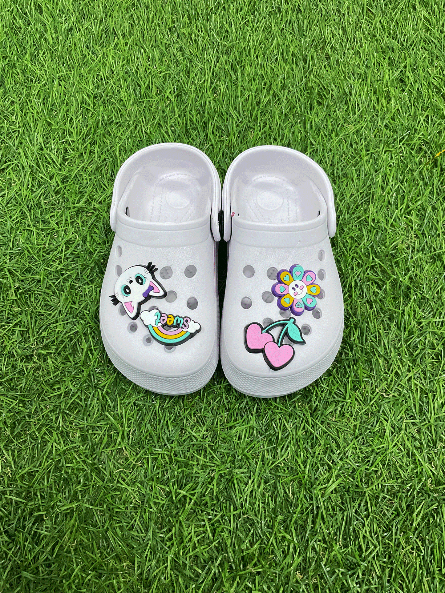 CHOLAS - EMRCH41013G