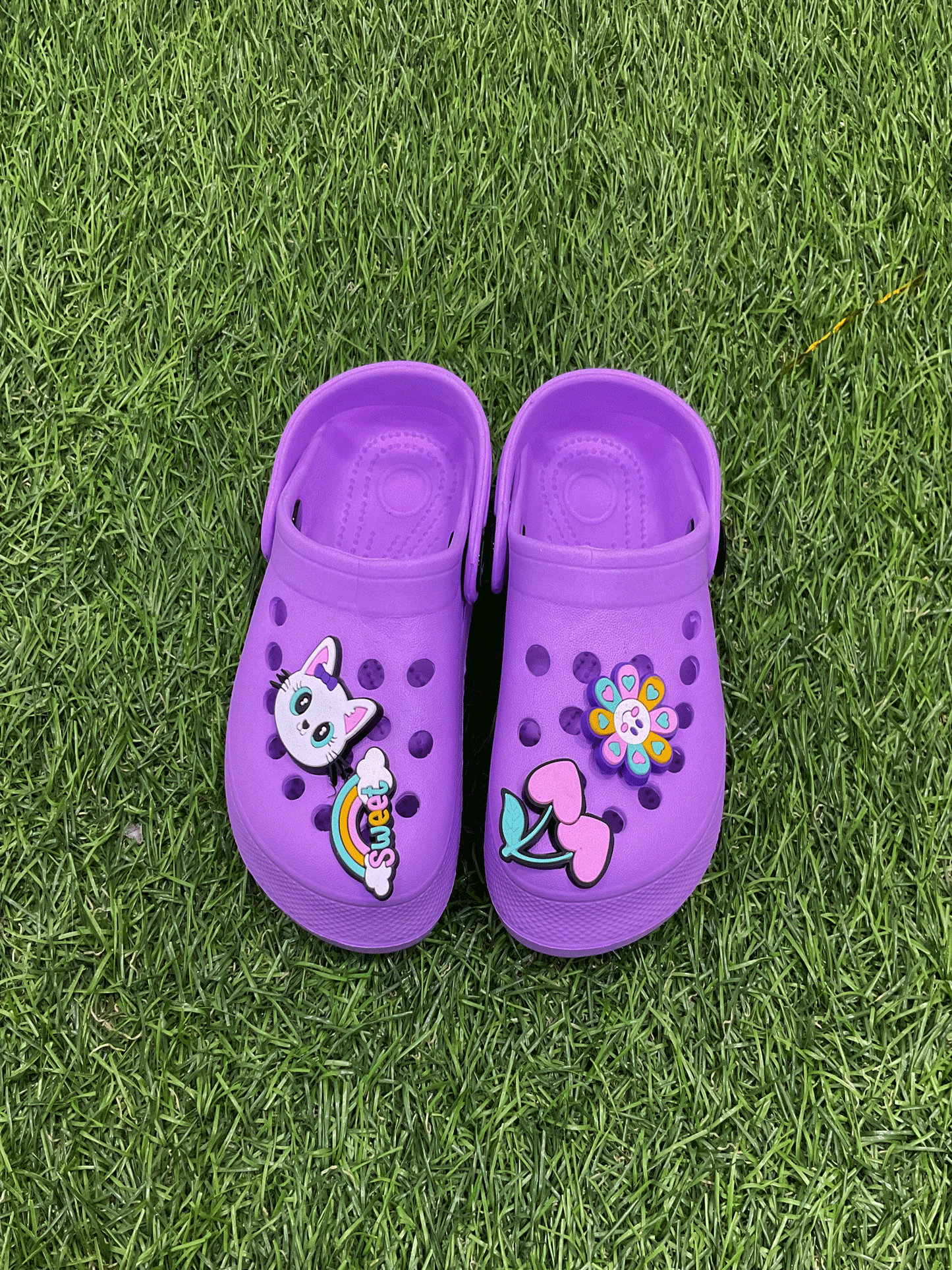 CHOLAS - EMRCH41013G