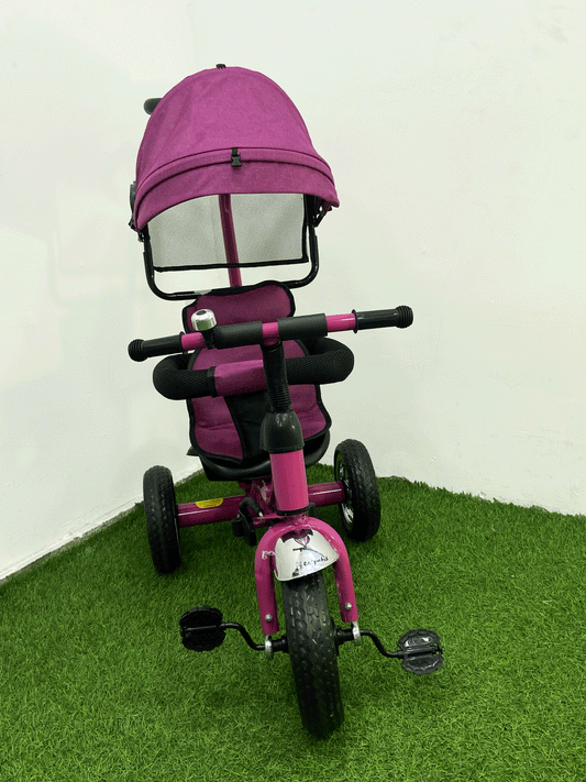 TRICICLO PASEADOR - LP9888