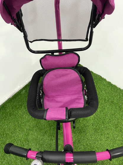TRICICLO PASEADOR - LP9888