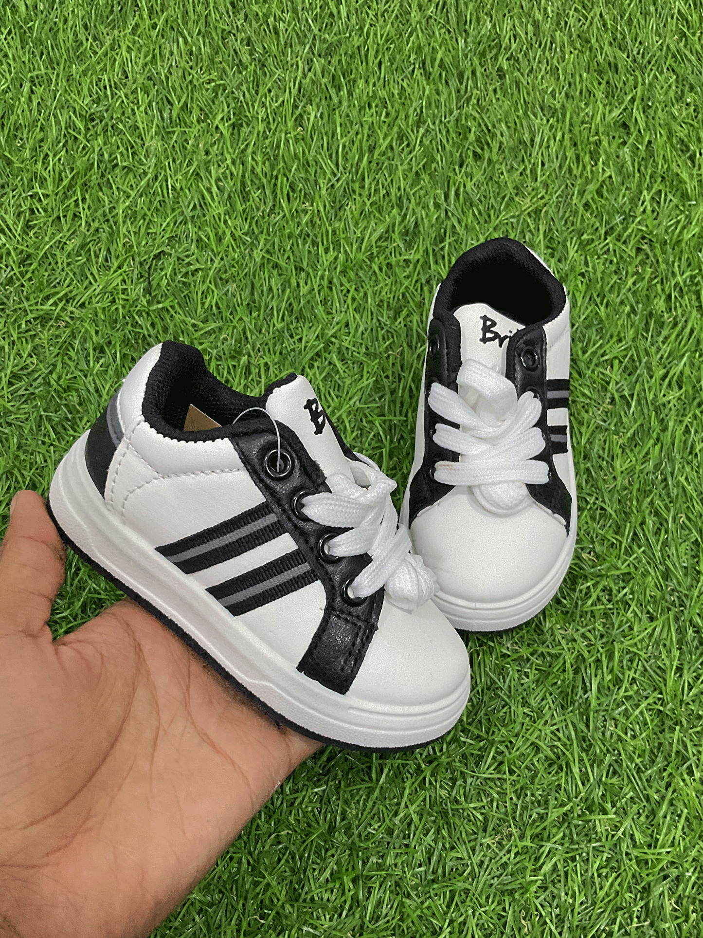 ZAPATOS - EWWM31012IG