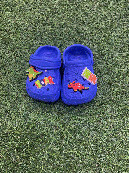 CHOLAS - EMRCH407321B