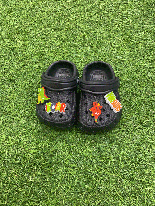 CHOLAS - EMRCH407321B